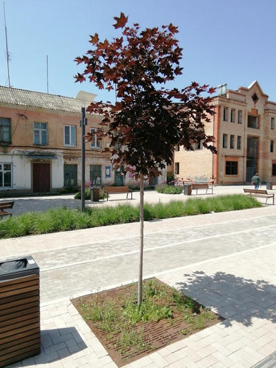 tree