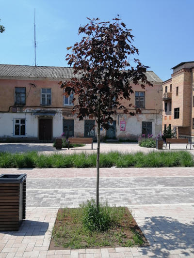 tree