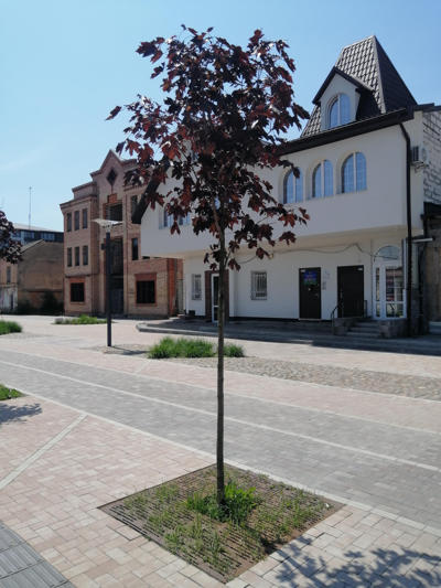 tree