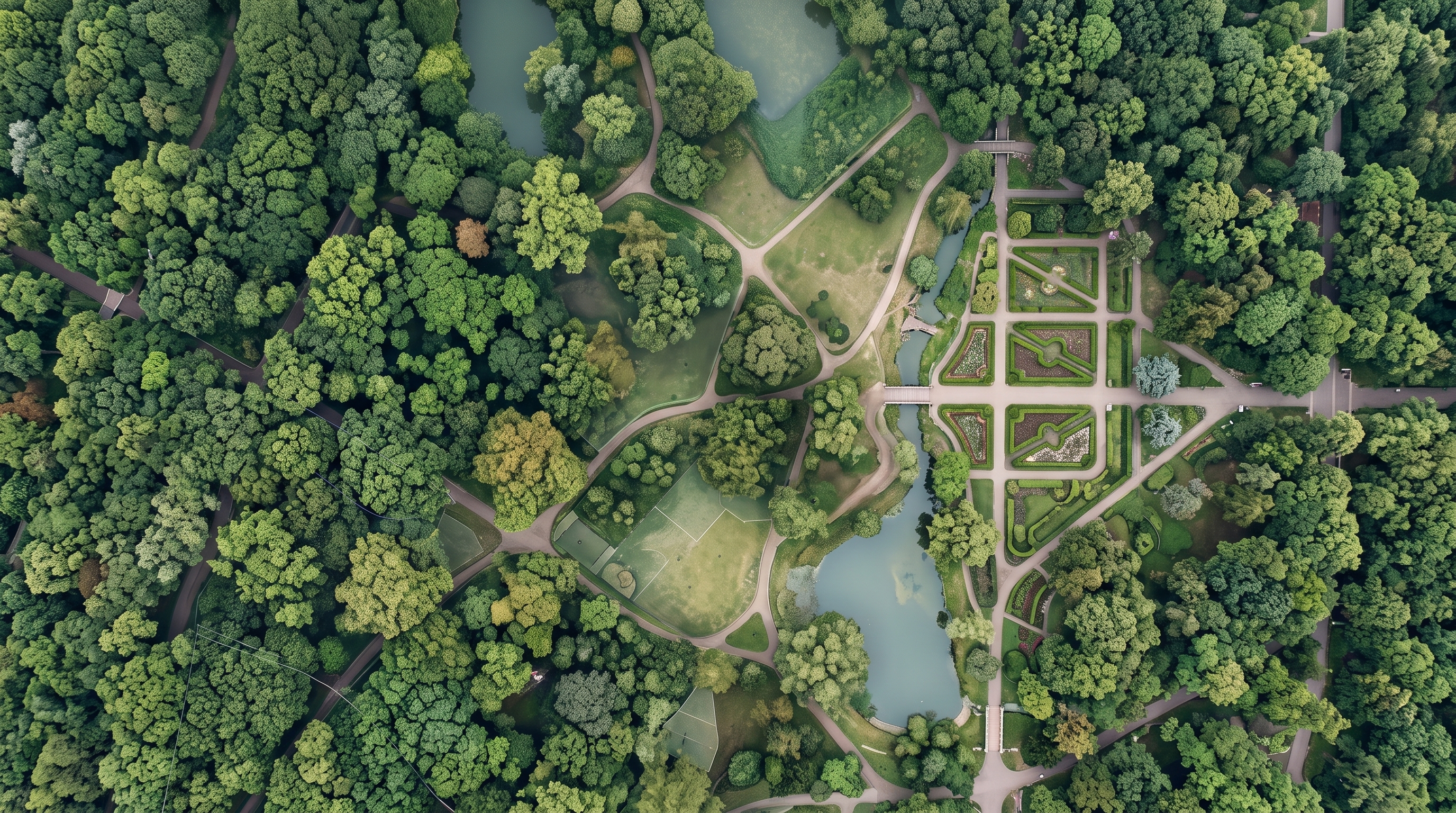 park image